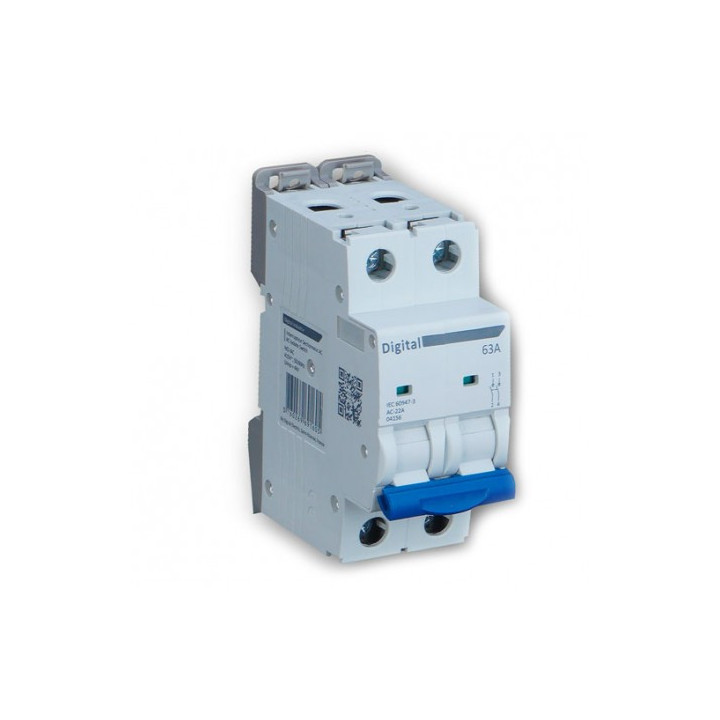 Interrupteur sectionneur 2x63A