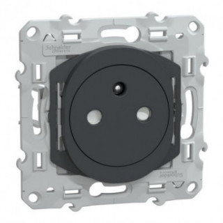 Prise 2P/T affl Griffes Anth