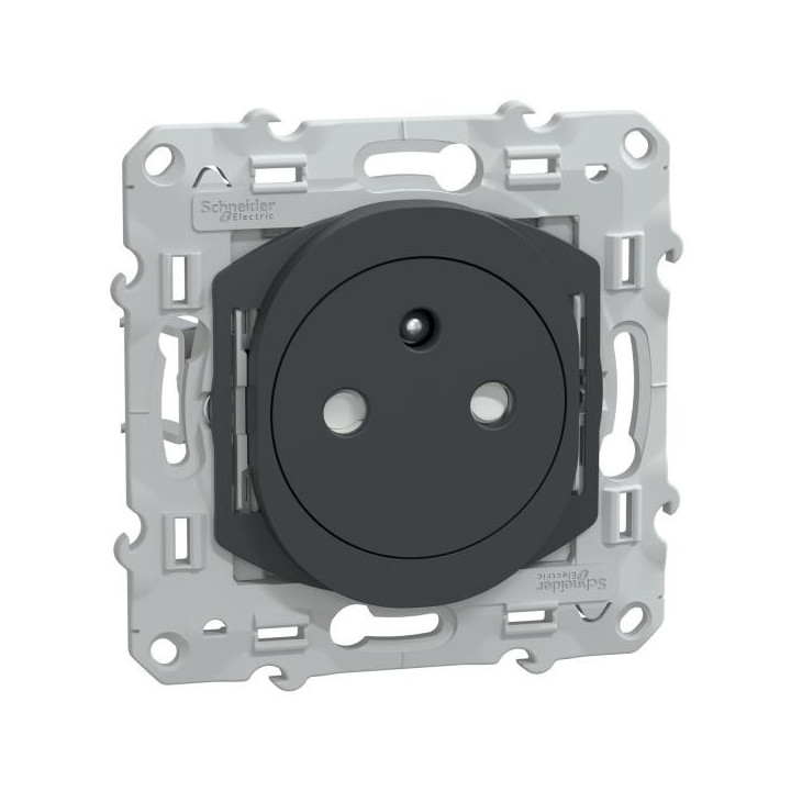 Prise 2P/T affl Griffes Anth