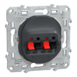 Prise HP 2 sorties Anthracite