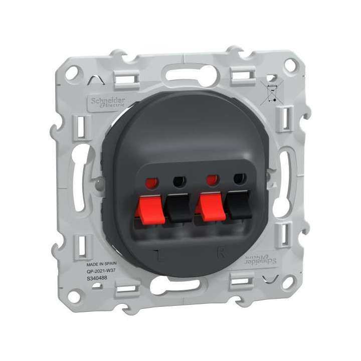 Prise HP 2 sorties Anthracite