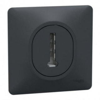 Conjoncteur tel 8P plaq anth