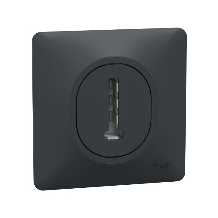 Conjoncteur tel 8P plaq anth