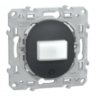 Ovalis détecteur mouvement Ant