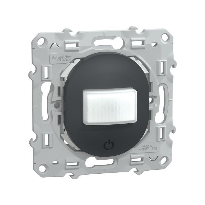 Ovalis détecteur mouvement Ant