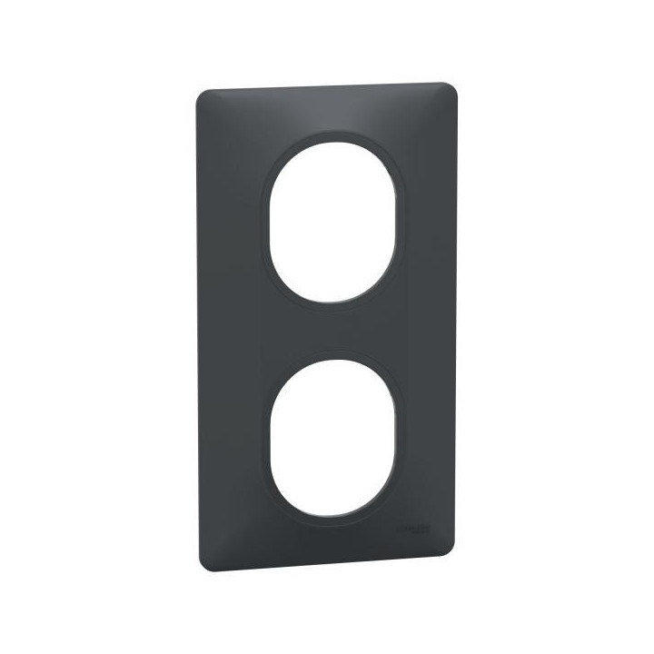 Plaque 2 postes Vert 71mm Anth