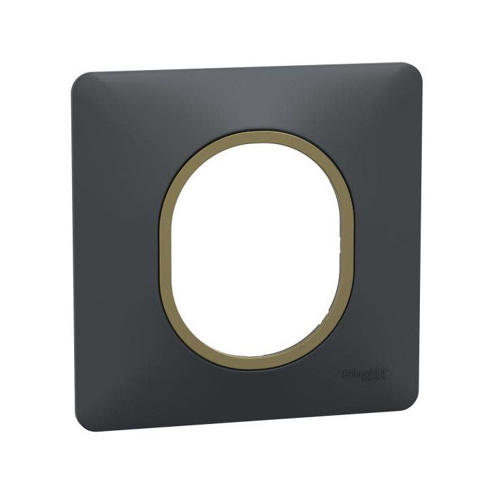 Plaque 1 poste Anthraci Laiton