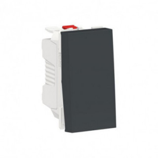 Bouton-pous NO 10A rap 1m Anth