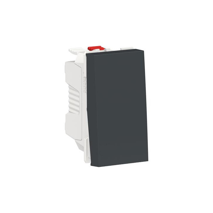 Bouton-pous NO 10A rap 1m Anth