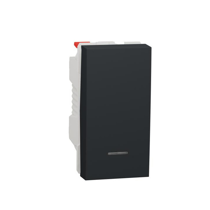 Poussoir lum local 10A 1m Anth