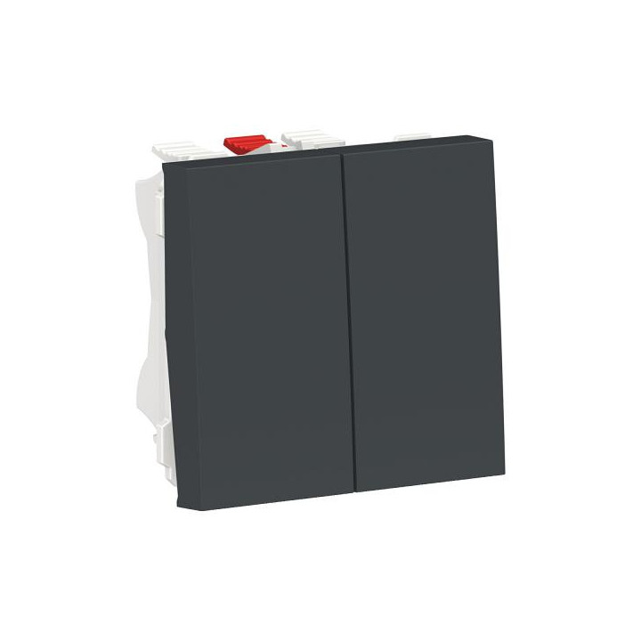 Double v-v 10A rap 2m Anth