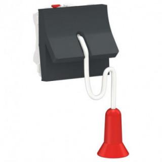 Inter à corde NO/NF 2m Anth