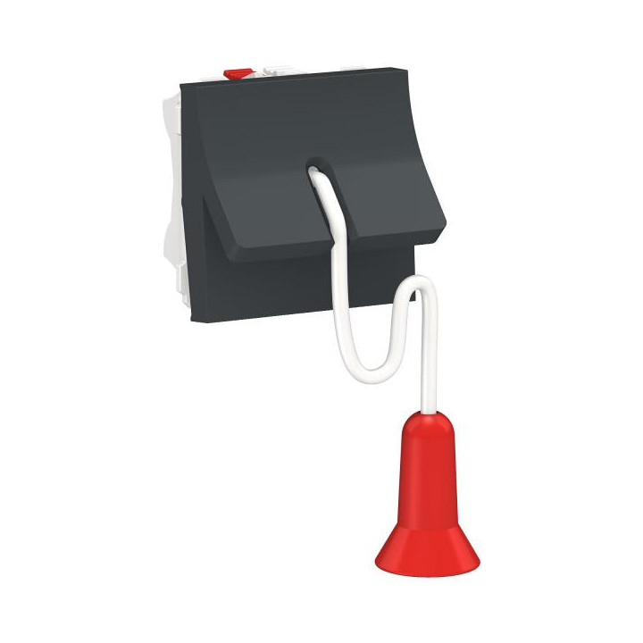 Inter à corde NO/NF 2m Anth