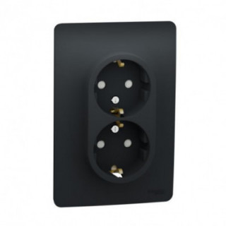 Prise 2x 2P/T DE vis Anth bo1P