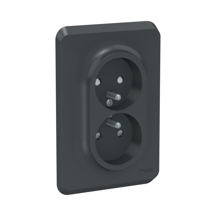 Prise 2x 2P/T FR vis Anth bo1P