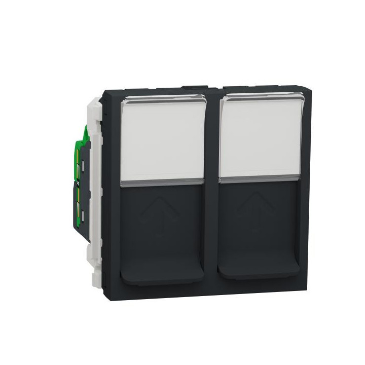 Prise RJ45 x2 cat6STP 2m Anth