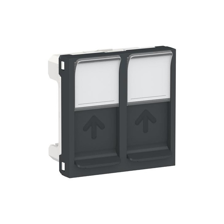 Prise 2 RJ45 S-One 2m Anth