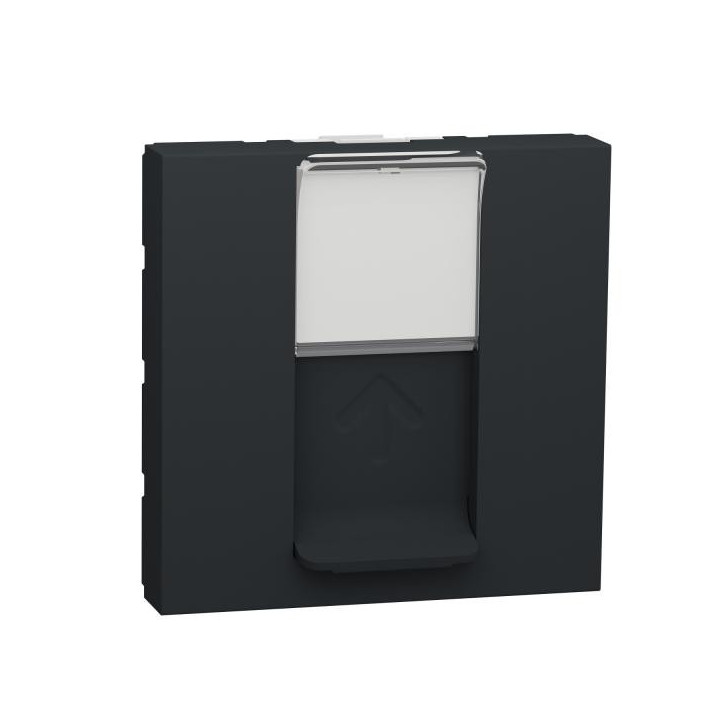 Prise 1 RJ45 Keyst/Syst 2m Ant