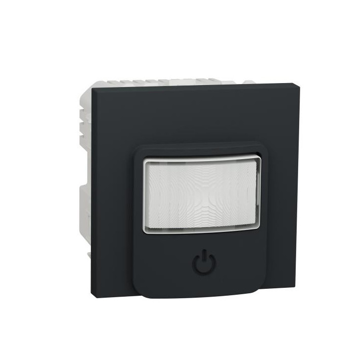 Détecteur mouv / pous Anth