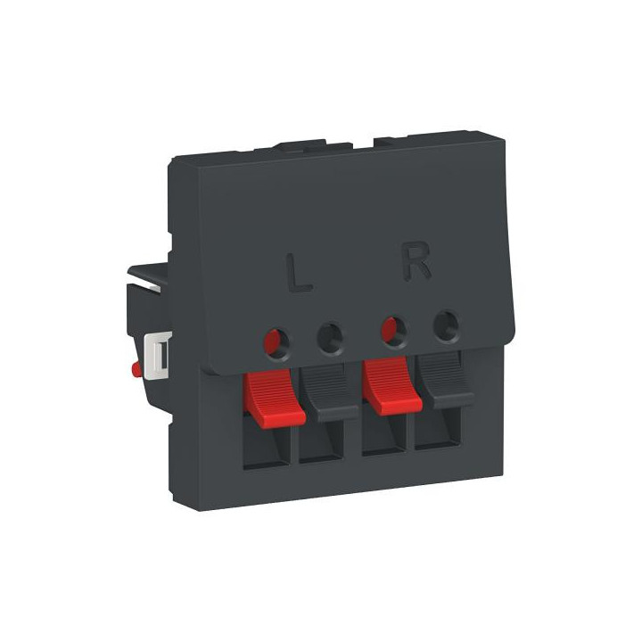 Prise HP 2 sorties 2m Anth