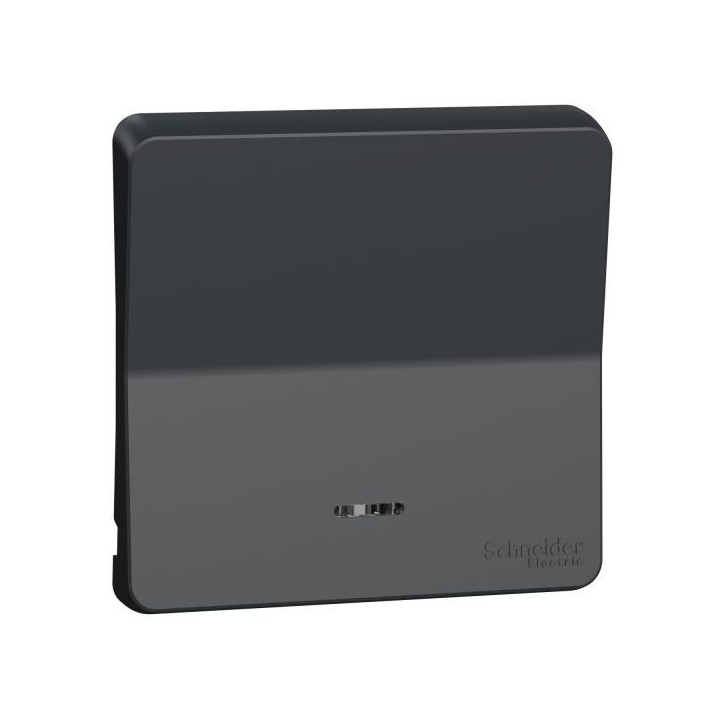 ENJOLIVEUR LENTILLE GRIS