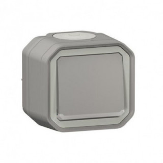 VV 10AX TEMOIN GRIS SAILLIE