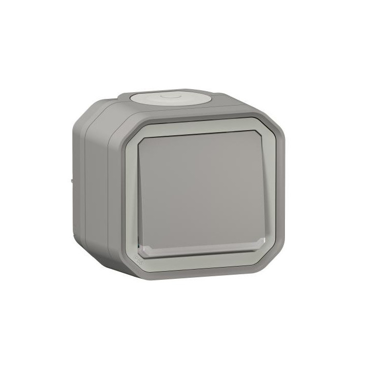 VV 10AX TEMOIN GRIS SAILLIE