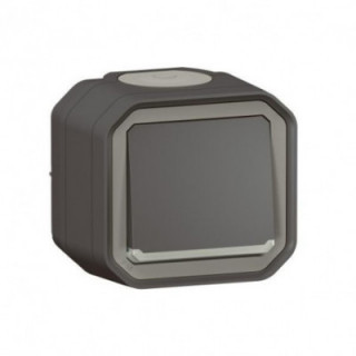 VV 10AX TEMOIN ANTH SAILLIE