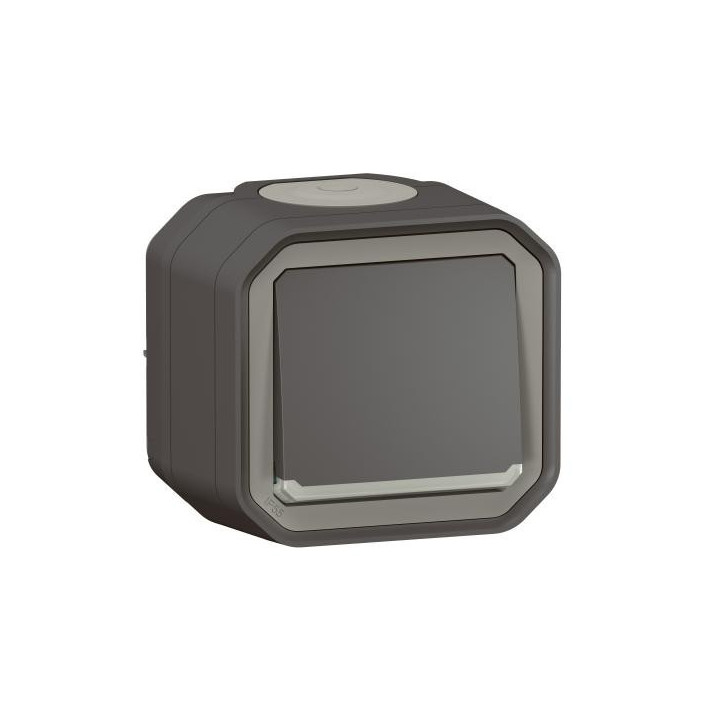 VV 10AX TEMOIN ANTH SAILLIE