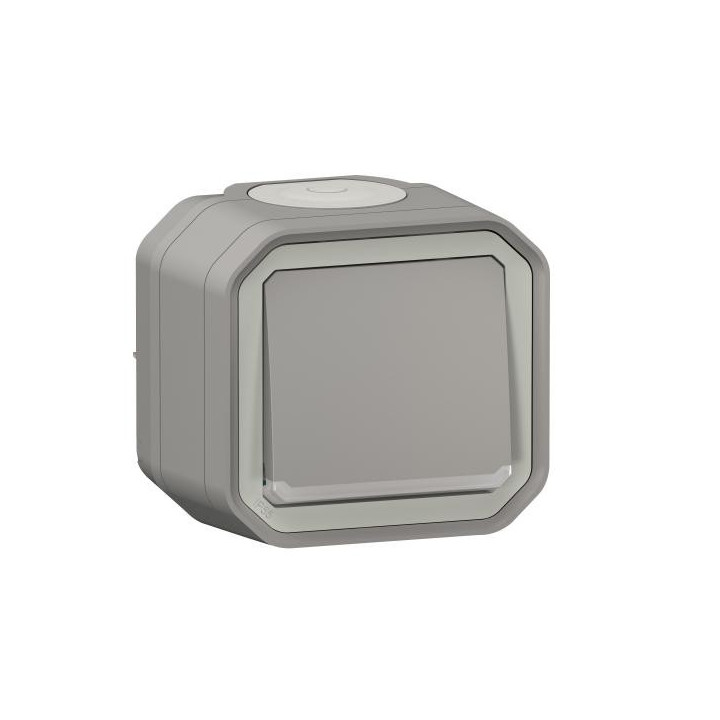 POUSSOIR NO LUM GRIS SAILLIE