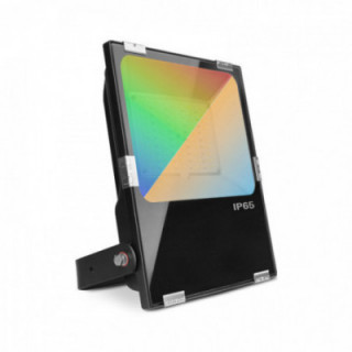 ARCHEO RGBW PROJECT 50W CCT