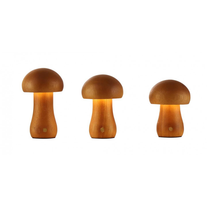 Asher - Ensemble de 3 lampes de table rechargeables