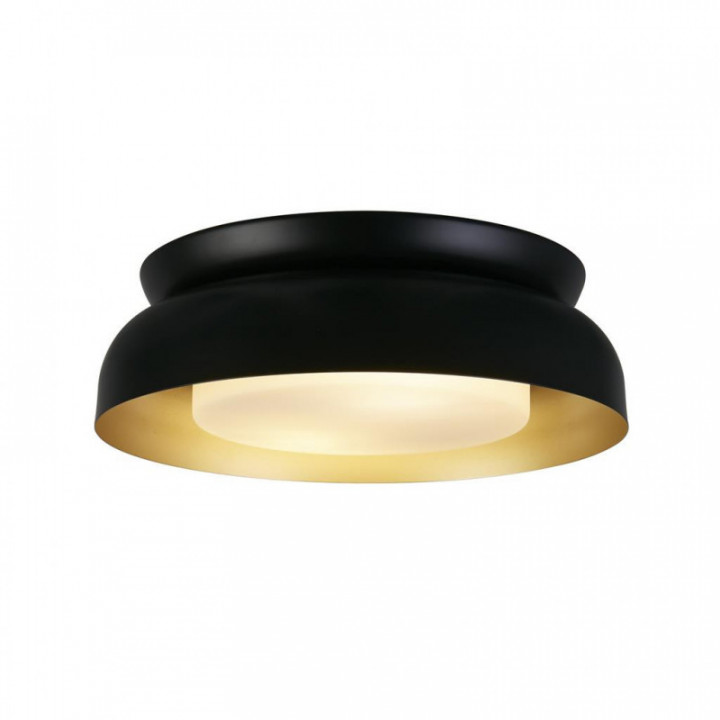 Kendal 2Lt Flush, Métal noir et or avec diffuseur givré