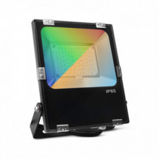 ARCHEO RGB BLC PROJ 30W CCT RF