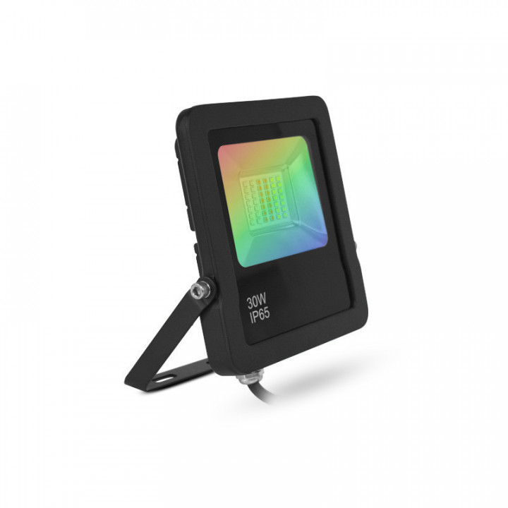 PROJ 30W RGB IP65 IR