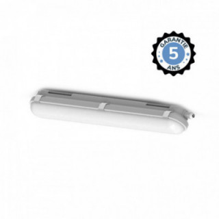 COLORADO DET ETANCHE LED INT