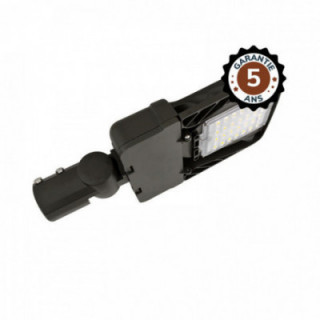 TETE DE LAMPADAIRE 500XS 100W