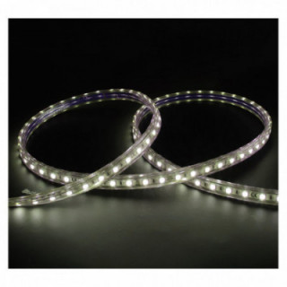 BOBINE LED 5050 1M 8W/M IP65