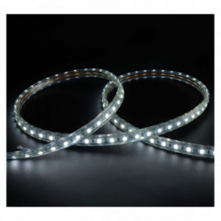 BOBINE LED 5050 1M 8W/M IP65