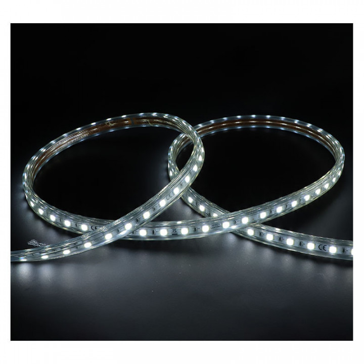 BOBINE LED 5050 1M 8W/M IP65