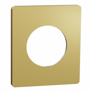 Odace Archi. plaque 1 poste laiton