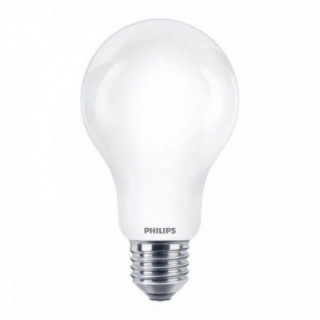 AMPOULE LED STANDARD E27 23 W 3452 lm 6500 K LUMIÈRE FROIDE