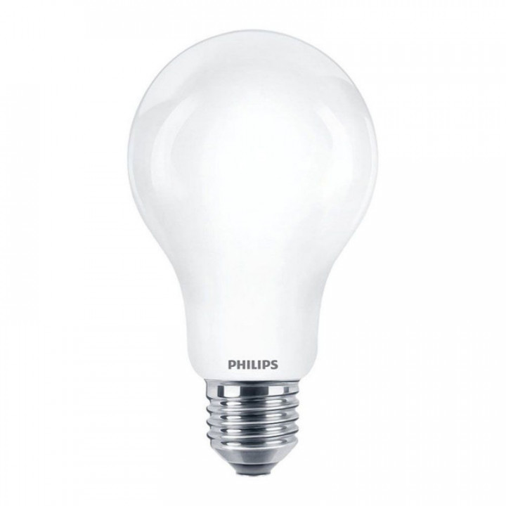 AMPOULE LED STANDARD E27 23 W 3452 lm 6500 K LUMIÈRE FROIDE
