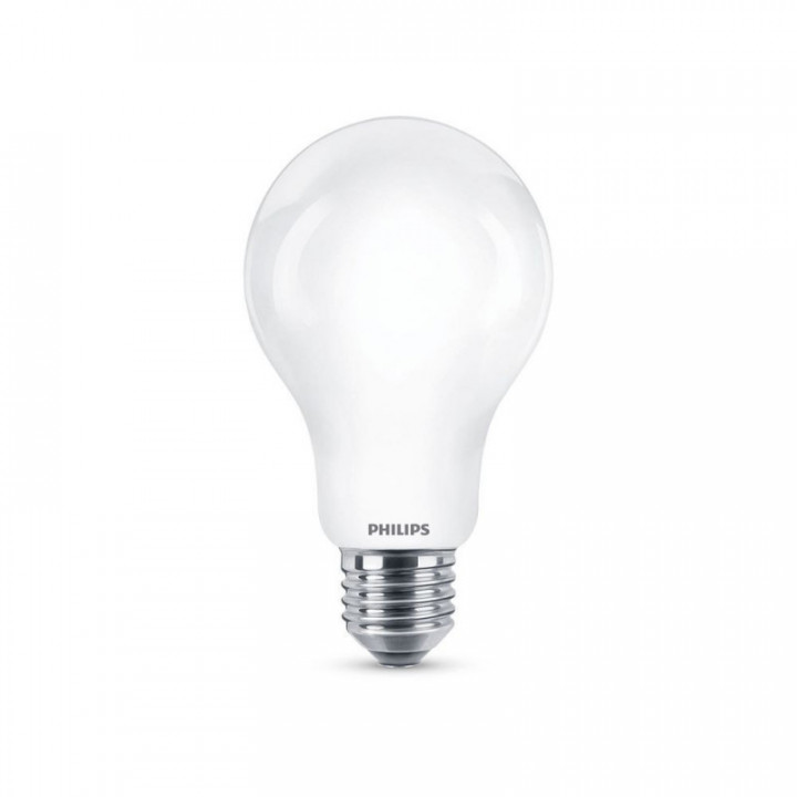 AMPOULE LED STANDARD E27 17,5W 2452lm 6500K LUMIÈRE FROIDE Ø