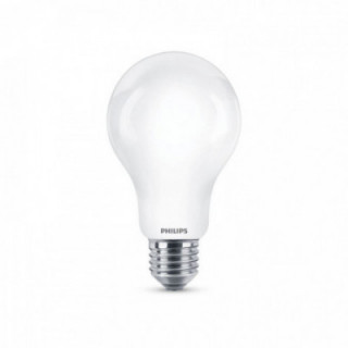 AMPOULE LED STANDARD E27 17,5W 2452lm 2700K LUMIÈRE CHAUDE Ø