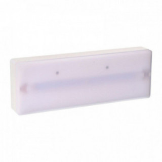 LUMIÈRE D'URGENCE S10 300 lm 1 h IP-44 NP 10-300, 255 x 37 x