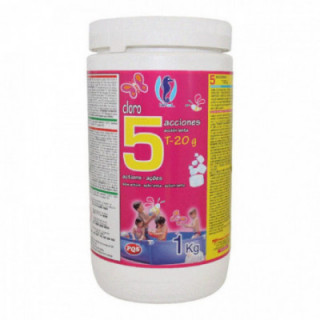 CHLORE 5 ACTIONS GALETS, BOÎTE DE 1 kg