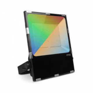 ARCHEO RGB - BLC PROJECT 100W