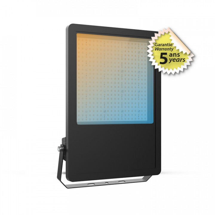 LUMOS PRO PROJECTEUR 200W 3CCT