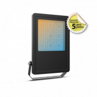 LUMOS PRO PROJECTEUR 100W 3CCT